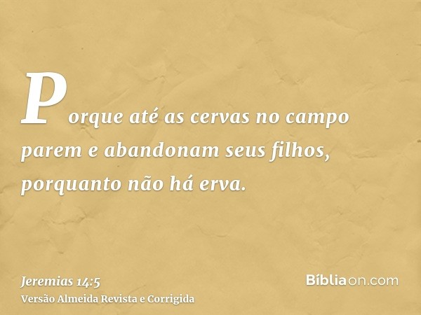 Porque até as cervas no campo parem e abandonam seus filhos, porquanto não há erva.