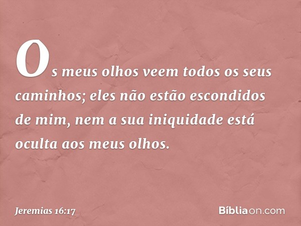 Os meus olhos veem todos os seus caminhos; eles não estão escondidos de mim, nem a sua iniquidade está oculta aos meus olhos. -- Jeremias 16:17