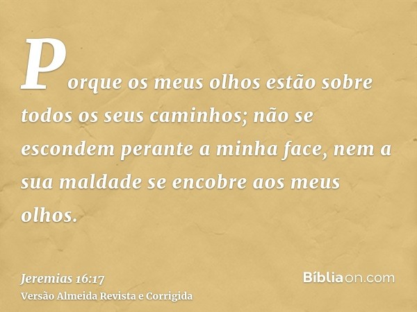 Porque os meus olhos estão sobre todos os seus caminhos; não se escondem perante a minha face, nem a sua maldade se encobre aos meus olhos.