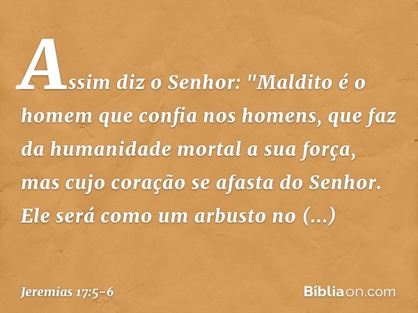 Assim diz o Senhor:
"Maldito é o homem
que confia nos homens,
que faz da humanidade mortal
a sua força,
mas cujo coração se afasta do Senhor. Ele será como um a