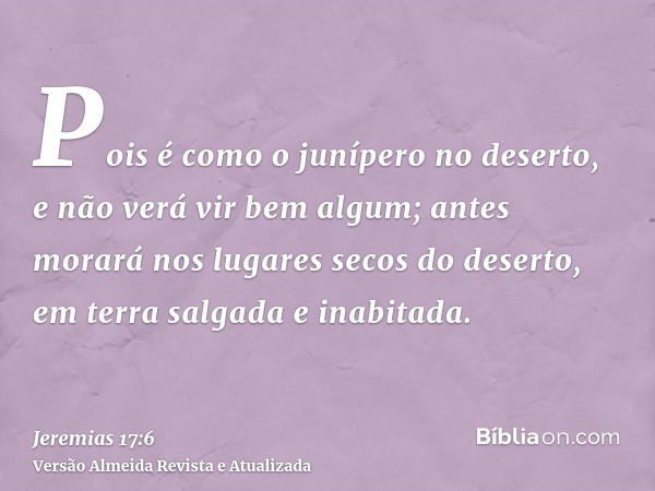 Pois é como o junípero no deserto, e não verá vir bem algum; antes morará nos lugares secos do deserto, em terra salgada e inabitada.