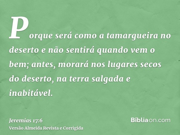 Porque será como a tamargueira no deserto e não sentirá quando vem o bem; antes, morará nos lugares secos do deserto, na terra salgada e inabitável.
