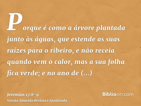 Porque é como a árvore plantada junto às águas, que estende as suas raízes para o ribeiro, e não receia quando vem o calor, mas a sua folha fica verde; e no ano