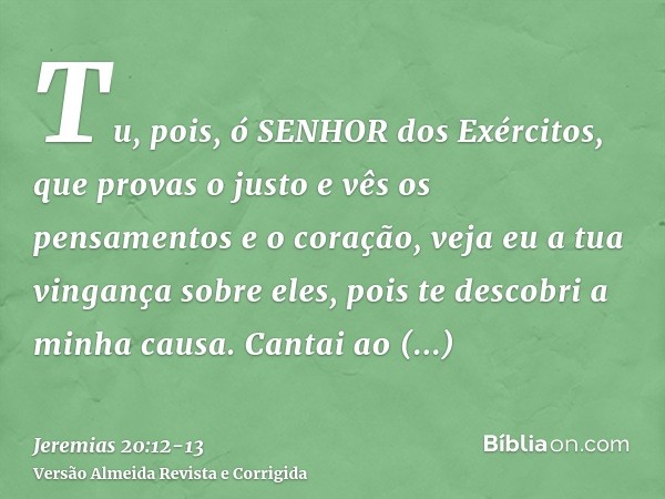 Tu, pois, ó SENHOR dos Exércitos, que provas o justo e vês os pensamentos e o coração, veja eu a tua vingança sobre eles, pois te descobri a minha causa.Cantai 