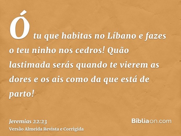 Ó tu que habitas no Líbano e fazes o teu ninho nos cedros! Quão lastimada serás quando te vierem as dores e os ais como da que está de parto!