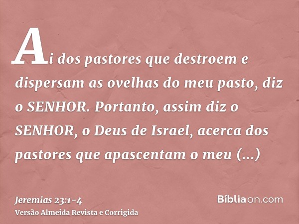 Ai dos pastores que destroem e dispersam as ovelhas do meu pasto, diz o SENHOR.Portanto, assim diz o SENHOR, o Deus de Israel, acerca dos pastores que apascenta