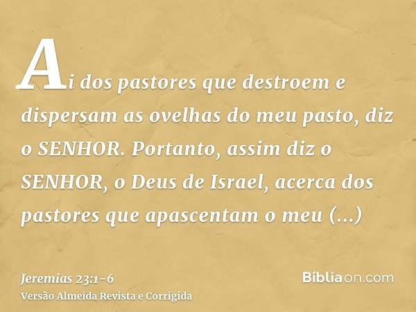 Ai dos pastores que destroem e dispersam as ovelhas do meu pasto, diz o SENHOR.Portanto, assim diz o SENHOR, o Deus de Israel, acerca dos pastores que apascenta