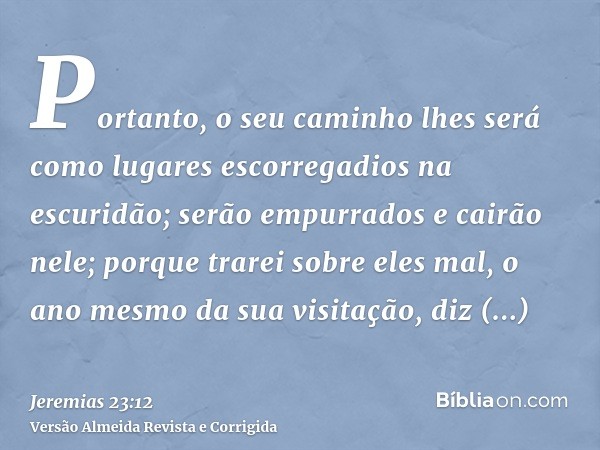 Portanto, o seu caminho lhes será como lugares escorregadios na escuridão; serão empurrados e cairão nele; porque trarei sobre eles mal, o ano mesmo da sua visi