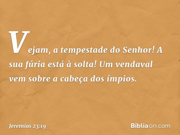 Vejam, a tempestade do Senhor!
A sua fúria está à solta!
Um vendaval vem sobre
a cabeça dos ímpios. -- Jeremias 23:19