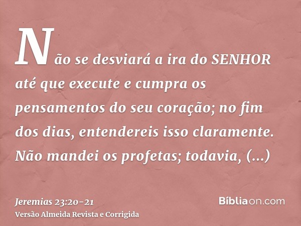 Não se desviará a ira do SENHOR até que execute e cumpra os pensamentos do seu coração; no fim dos dias, entendereis isso claramente.Não mandei os profetas; tod