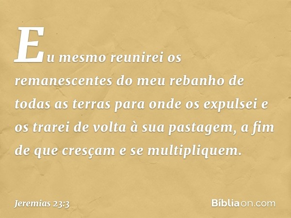 "Eu mesmo reunirei os remanescentes do meu rebanho de todas as terras para onde os expulsei e os trarei de volta à sua pastagem, a fim de que cresçam e se multi