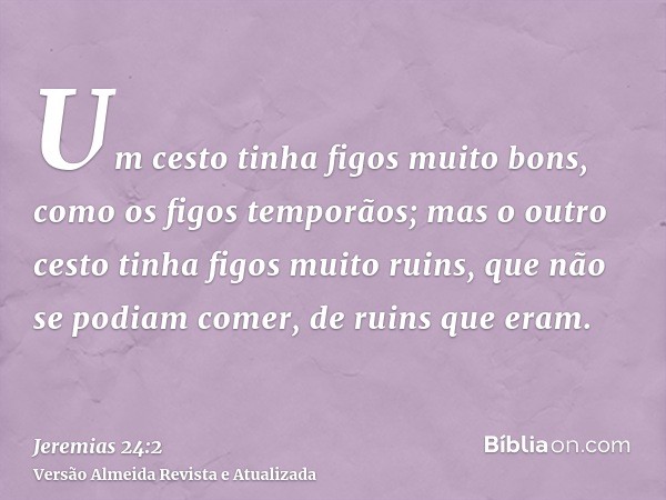 Um cesto tinha figos muito bons, como os figos temporãos; mas o outro cesto tinha figos muito ruins, que não se podiam comer, de ruins que eram.