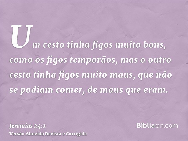 Um cesto tinha figos muito bons, como os figos temporãos, mas o outro cesto tinha figos muito maus, que não se podiam comer, de maus que eram.