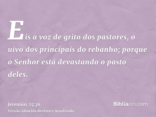 Eis a voz de grito dos pastores, o uivo dos principais do rebanho; porque o Senhor está devastando o pasto deles.