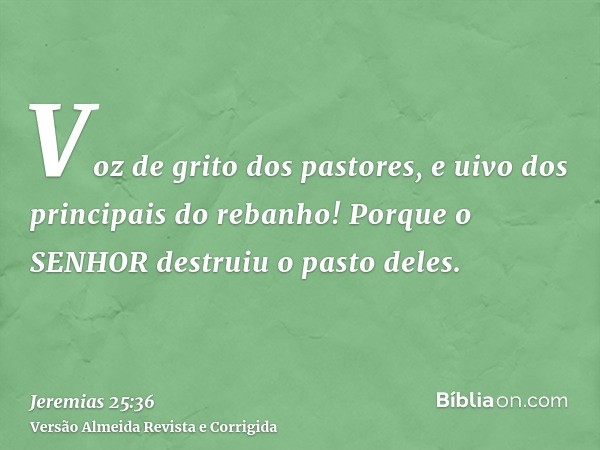 Voz de grito dos pastores, e uivo dos principais do rebanho! Porque o SENHOR destruiu o pasto deles.