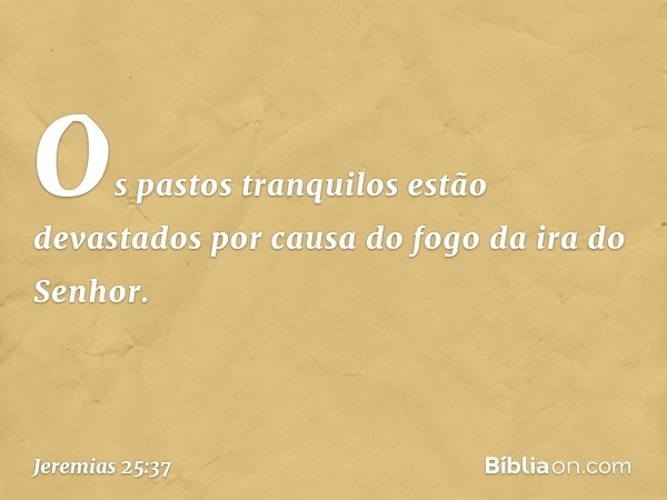 Os pastos tranquilos estão devastados
por causa do fogo da ira do Senhor. -- Jeremias 25:37