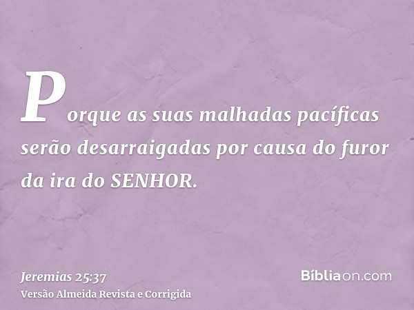 Porque as suas malhadas pacíficas serão desarraigadas por causa do furor da ira do SENHOR.