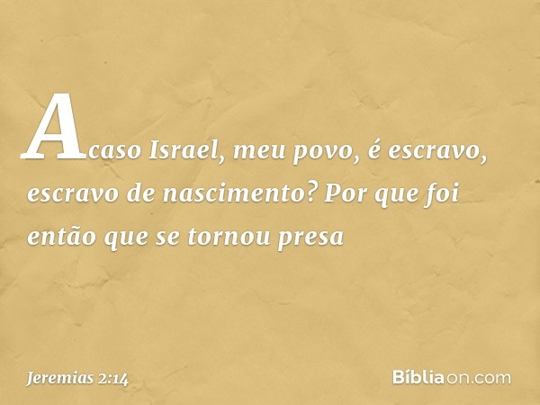 Acaso Israel, meu povo, é escravo,
escravo de nascimento?
Por que foi então que se tornou presa -- Jeremias 2:14