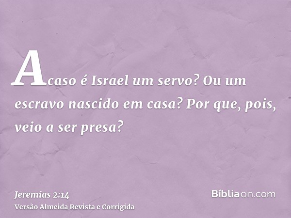 Acaso é Israel um servo? Ou um escravo nascido em casa? Por que, pois, veio a ser presa?