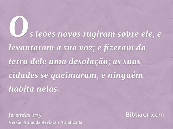 Os leões novos rugiram sobre ele, e levantaram a sua voz; e fizeram da terra dele uma desolação; as suas cidades se queimaram, e ninguém habita nelas.