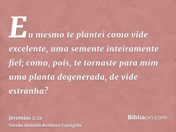 Eu mesmo te plantei como vide excelente, uma semente inteiramente fiel; como, pois, te tornaste para mim uma planta degenerada, de vide estranha?