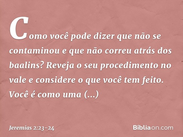 "Como você pode dizer
que não se contaminou
e que não correu atrás dos baalins?
Reveja o seu procedimento no vale
e considere o que você tem feito.
Você é como 