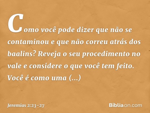 "Como você pode dizer
que não se contaminou
e que não correu atrás dos baalins?
Reveja o seu procedimento no vale
e considere o que você tem feito.
Você é como 