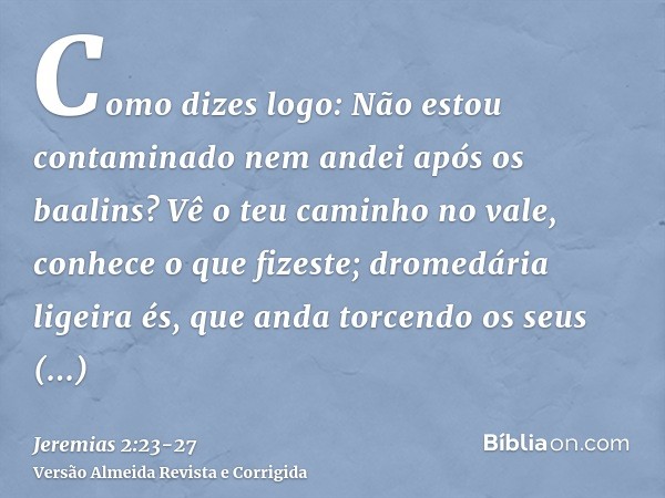 Como dizes logo: Não estou contaminado nem andei após os baalins? Vê o teu caminho no vale, conhece o que fizeste; dromedária ligeira és, que anda torcendo os s