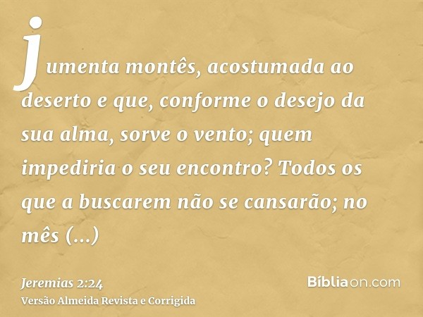 jumenta montês, acostumada ao deserto e que, conforme o desejo da sua alma, sorve o vento; quem impediria o seu encontro? Todos os que a buscarem não se cansarã