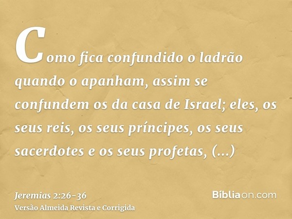 Como fica confundido o ladrão quando o apanham, assim se confundem os da casa de Israel; eles, os seus reis, os seus príncipes, os seus sacerdotes e os seus pro