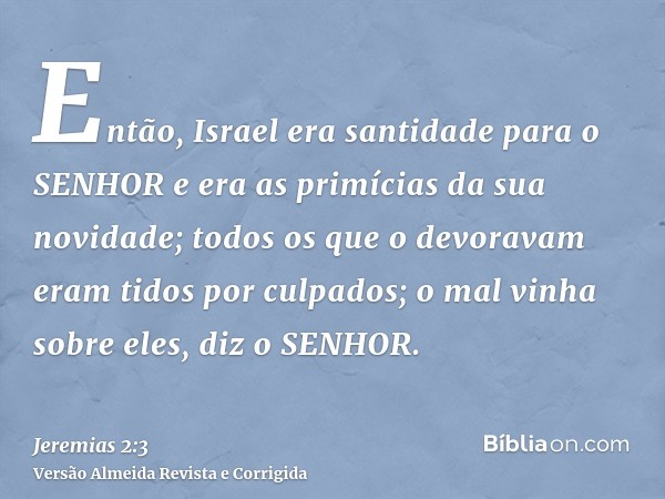 Então, Israel era santidade para o SENHOR e era as primícias da sua novidade; todos os que o devoravam eram tidos por culpados; o mal vinha sobre eles, diz o SE