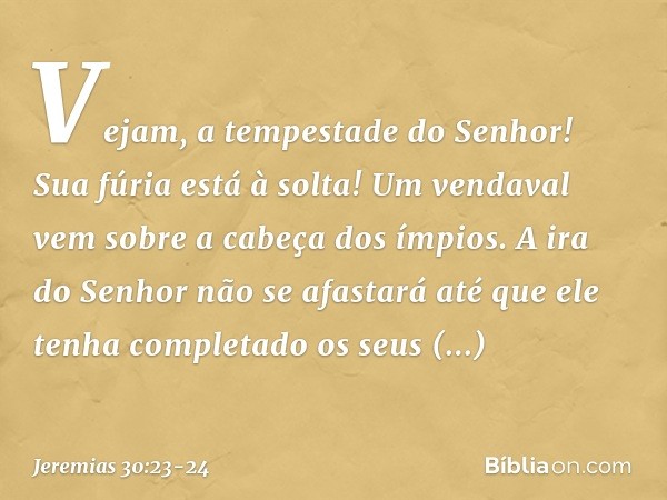 Vejam, a tempestade do Senhor!
Sua fúria está à solta!
Um vendaval vem
sobre a cabeça dos ímpios. A ira do Senhor não se afastará
até que ele tenha completado
o