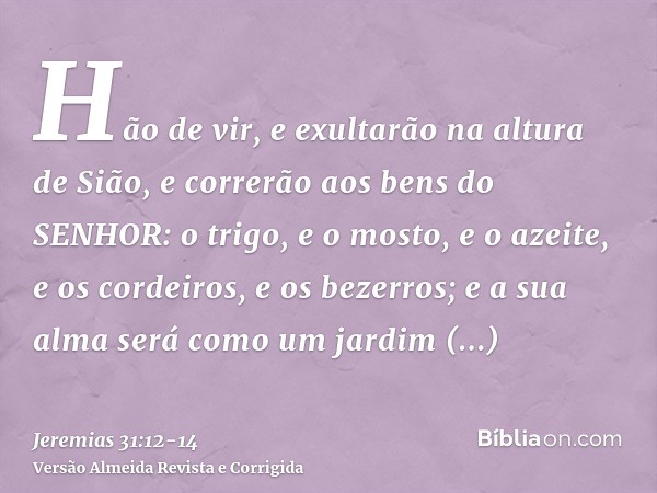 Hão de vir, e exultarão na altura de Sião, e correrão aos bens do SENHOR: o trigo, e o mosto, e o azeite, e os cordeiros, e os bezerros; e a sua alma será como 
