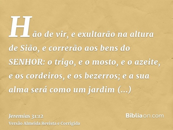 Hão de vir, e exultarão na altura de Sião, e correrão aos bens do SENHOR: o trigo, e o mosto, e o azeite, e os cordeiros, e os bezerros; e a sua alma será como 