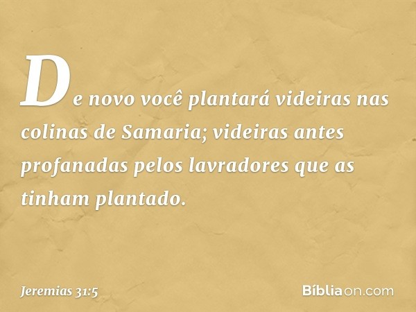 De novo você plantará videiras
nas colinas de Samaria;
videiras antes profanadas pelos lavradores
que as tinham plantado. -- Jeremias 31:5