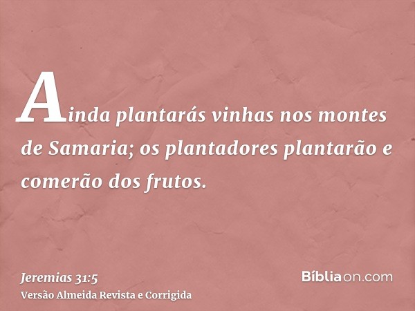 Ainda plantarás vinhas nos montes de Samaria; os plantadores plantarão e comerão dos frutos.