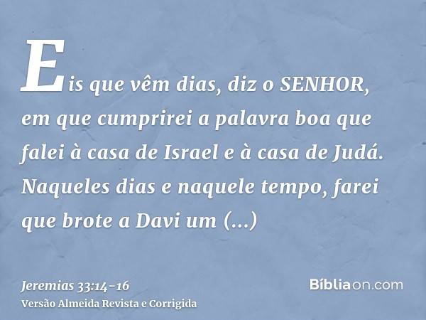 Eis que vêm dias, diz o SENHOR, em que cumprirei a palavra boa que falei à casa de Israel e à casa de Judá.Naqueles dias e naquele tempo, farei que brote a Davi