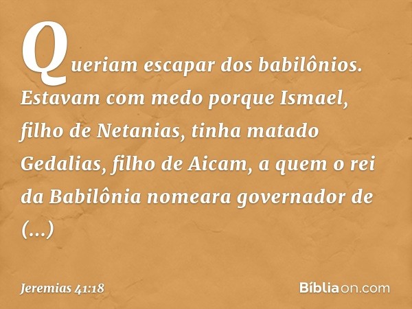 Queriam escapar dos babilônios. Estavam com medo porque Ismael, filho de Netanias, tinha matado Gedalias, filho de Aicam, a quem o rei da Babilônia nomeara gove