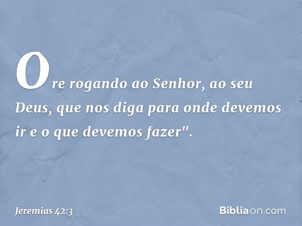 Ore rogando ao Senhor, ao seu Deus, que nos diga para onde devemos ir e o que devemos fazer". -- Jeremias 42:3