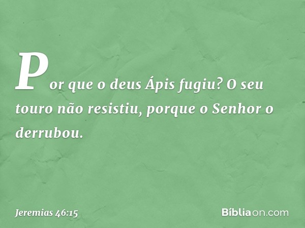 Por que o deus Ápis fugiu?
O seu touro não resistiu,
porque o Senhor o derrubou. -- Jeremias 46:15