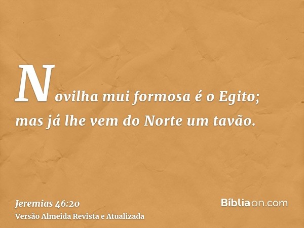 Novilha mui formosa é o Egito; mas já lhe vem do Norte um tavão.