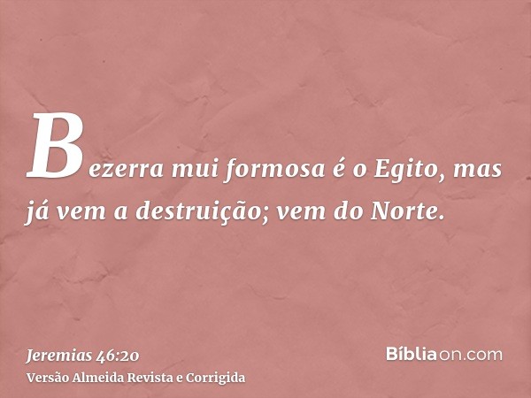 Bezerra mui formosa é o Egito, mas já vem a destruição; vem do Norte.