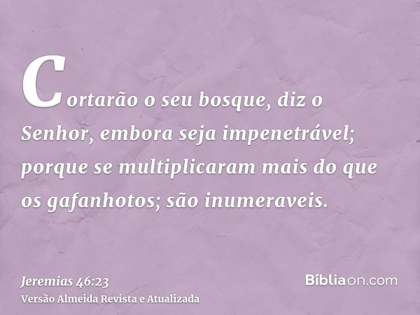 Cortarão o seu bosque, diz o Senhor, embora seja impenetrável; porque se multiplicaram mais do que os gafanhotos; são inumeraveis.