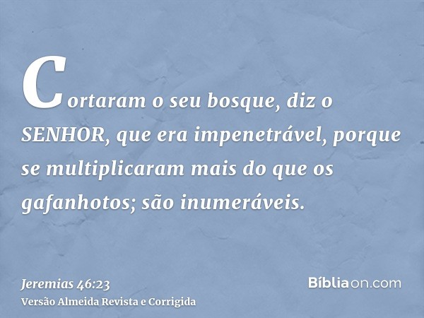 Cortaram o seu bosque, diz o SENHOR, que era impenetrável, porque se multiplicaram mais do que os gafanhotos; são inumeráveis.