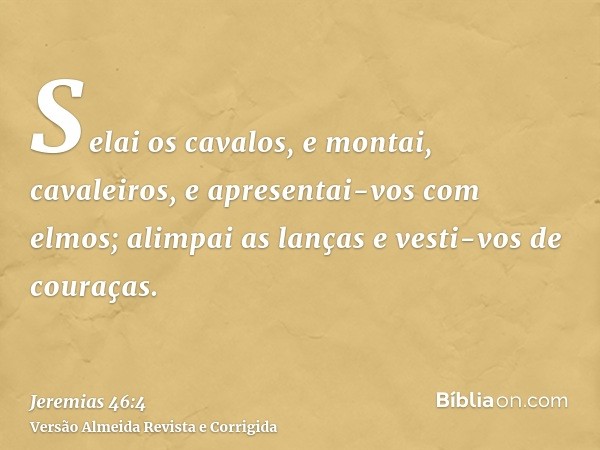 Selai os cavalos, e montai, cavaleiros, e apresentai-vos com elmos; alimpai as lanças e vesti-vos de couraças.