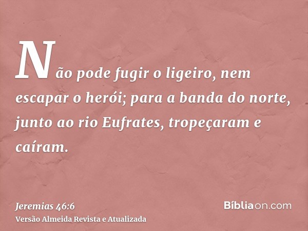 Não pode fugir o ligeiro, nem escapar o herói; para a banda do norte, junto ao rio Eufrates, tropeçaram e caíram.