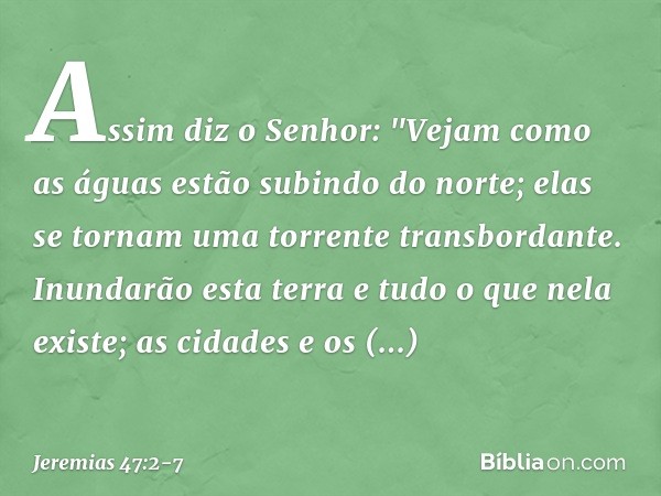 Assim diz o Senhor:
"Vejam como as águas estão
subindo do norte;
elas se tornam
uma torrente transbordante.
Inundarão esta terra
e tudo o que nela existe;
as ci