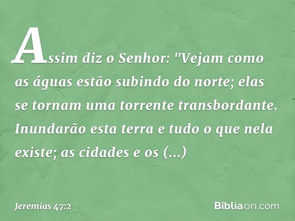 Assim diz o Senhor:
"Vejam como as águas estão
subindo do norte;
elas se tornam
uma torrente transbordante.
Inundarão esta terra
e tudo o que nela existe;
as ci