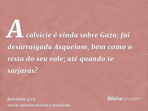 A calvicie é vinda sobre Gaza; foi desarraigada Asquelom, bem como o resto do seu vale; até quando te sarjarás?