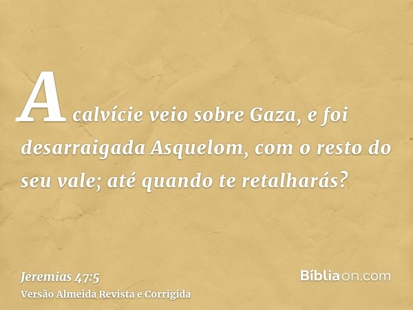 A calvície veio sobre Gaza, e foi desarraigada Asquelom, com o resto do seu vale; até quando te retalharás?